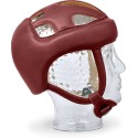 Sarlight Pro-evolution